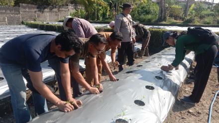 Pelaksanaan Ketahanan Pangan Desa Umejero Tahun 2025